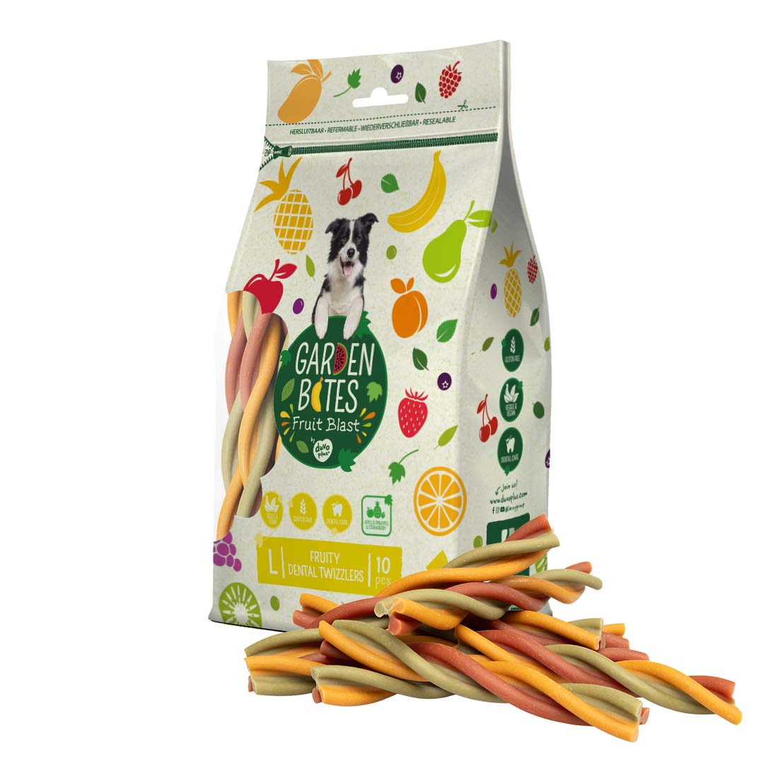 GB Bag Fruity Dental Twizzlers Large 10 pack (16437)