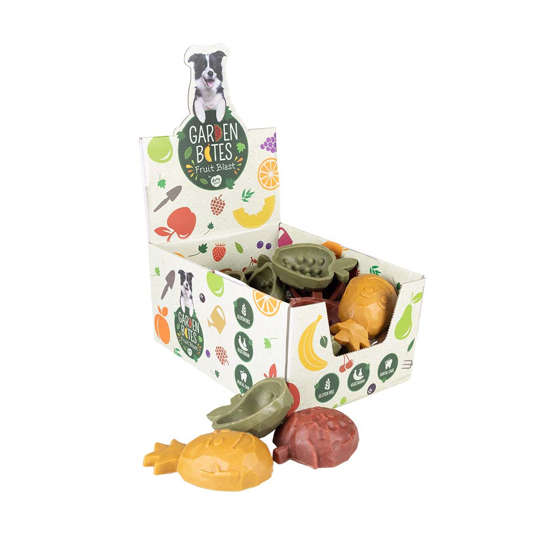 GB Box Fruity Buddies Large 21 piece (16432)