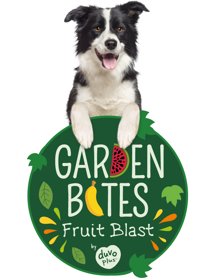 Garden Bites Fruity
