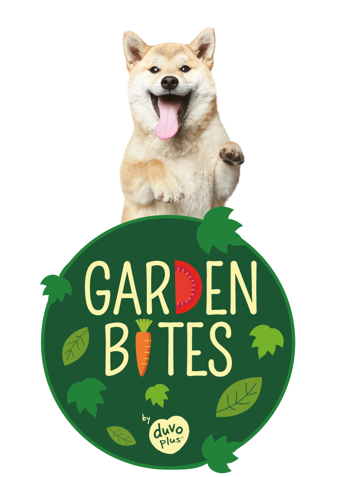Garden Bites Veggie